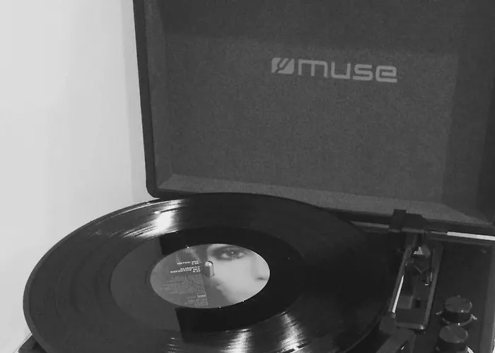 Carnot Chic * Carcassonne